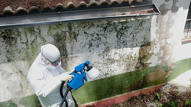 Top rated local Mold Remediation specialists in Cumberland, KY